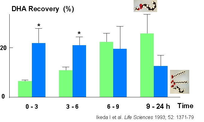 Rates of
                    fatty acid uptake