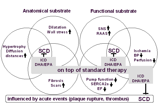 Sudden
                              cardiac death pathophysiology (Rupp
                              copyright)